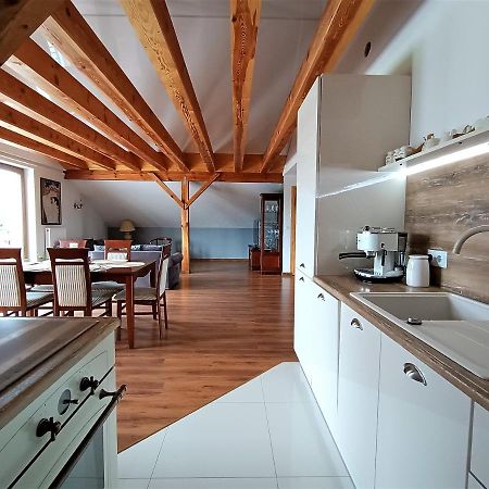 Barytowy Apartament Tarnowskie Góry Buitenkant foto