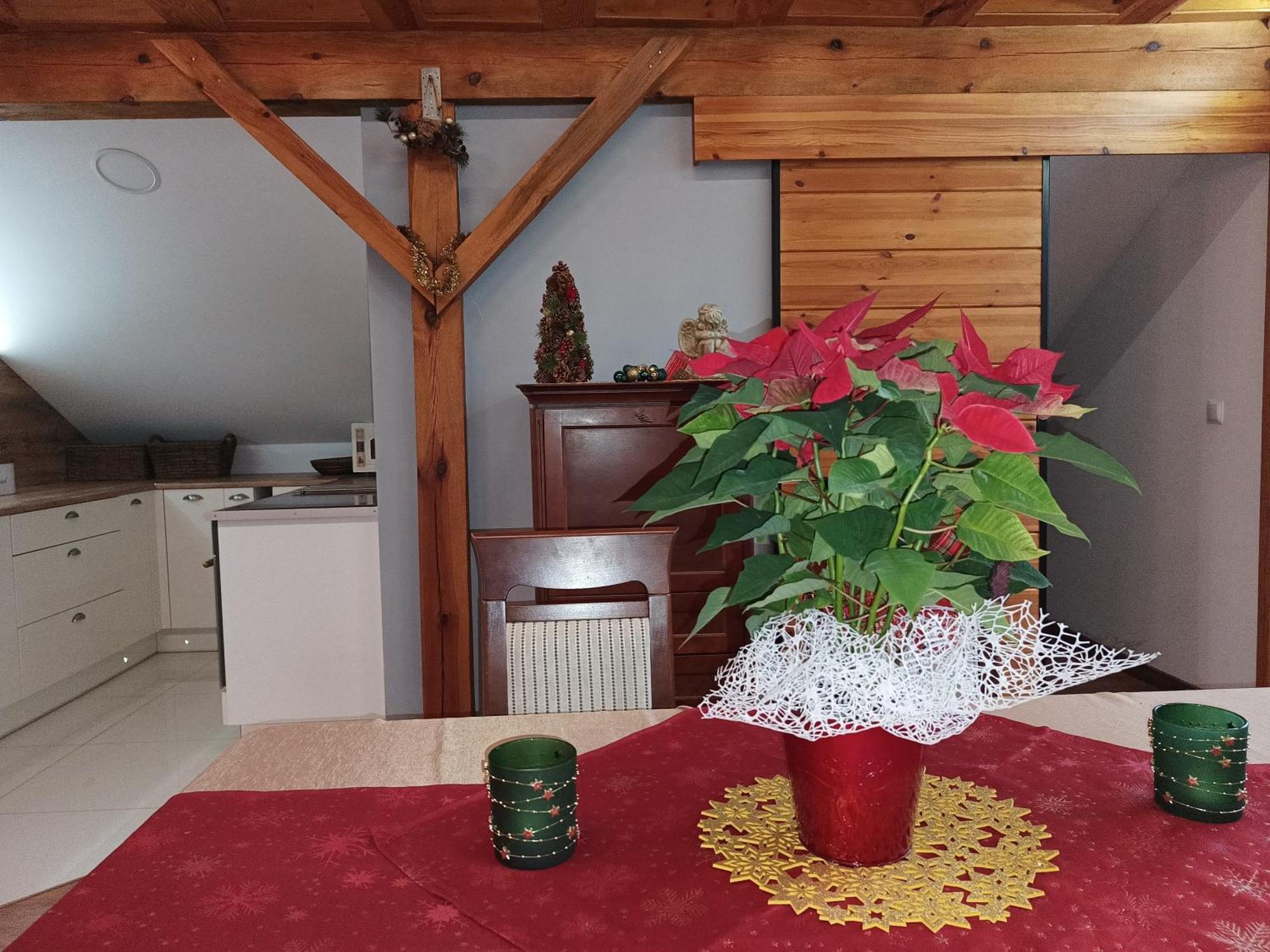 Barytowy Apartament Tarnowskie Góry Buitenkant foto