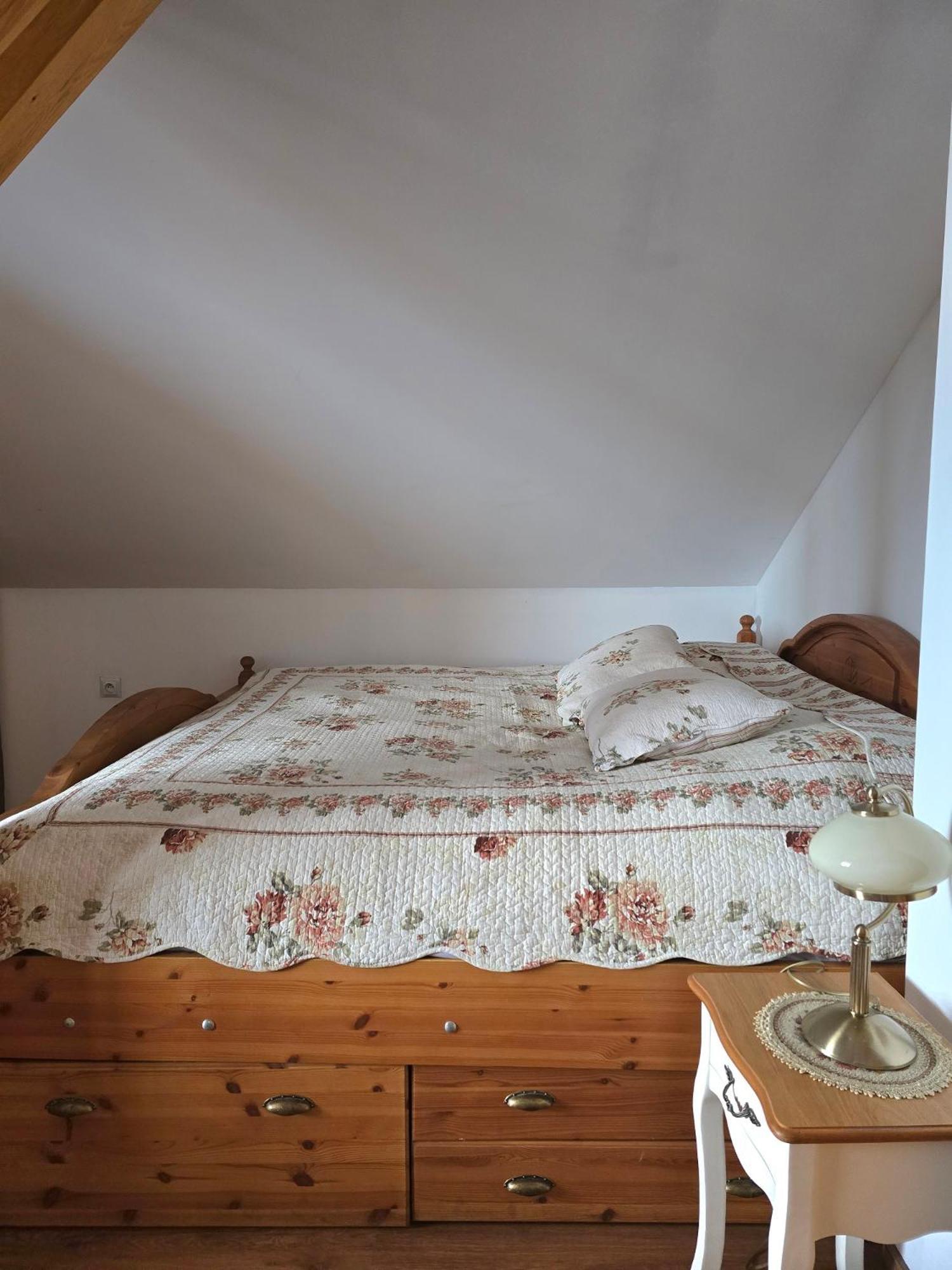 Barytowy Apartament Tarnowskie Góry Buitenkant foto